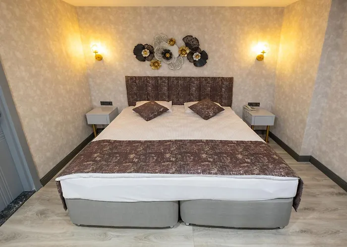Hotel Avion *